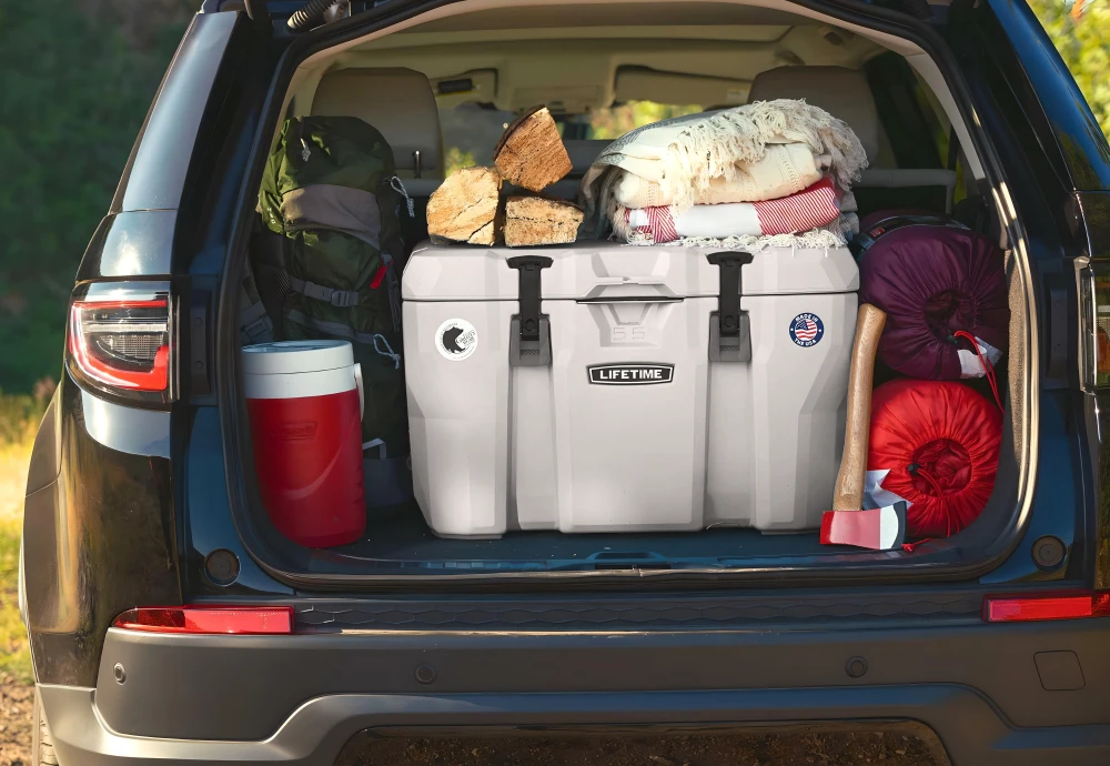 portable car cooler box