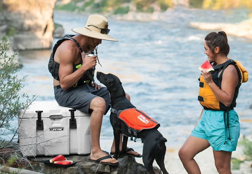 portable car cooler box