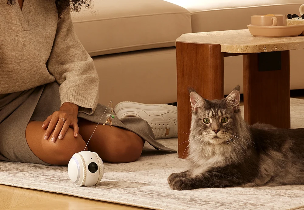 interactive pet camera