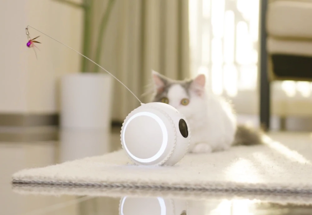 wireless pet monitoring camera