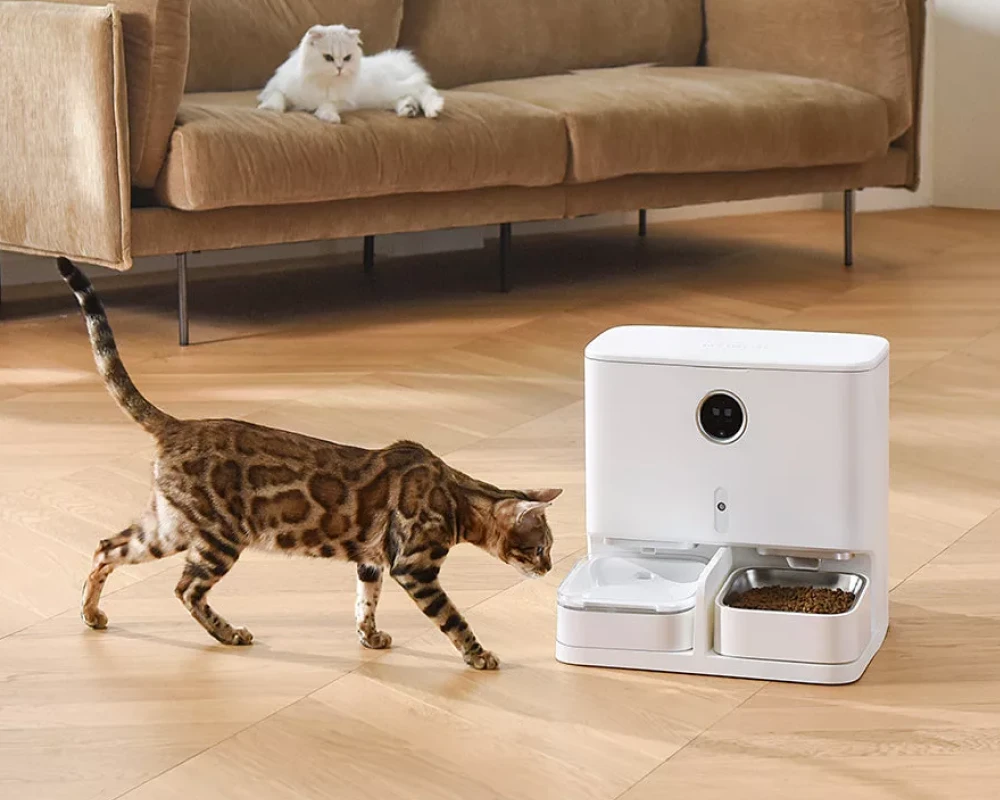 dog automatic pet feeder