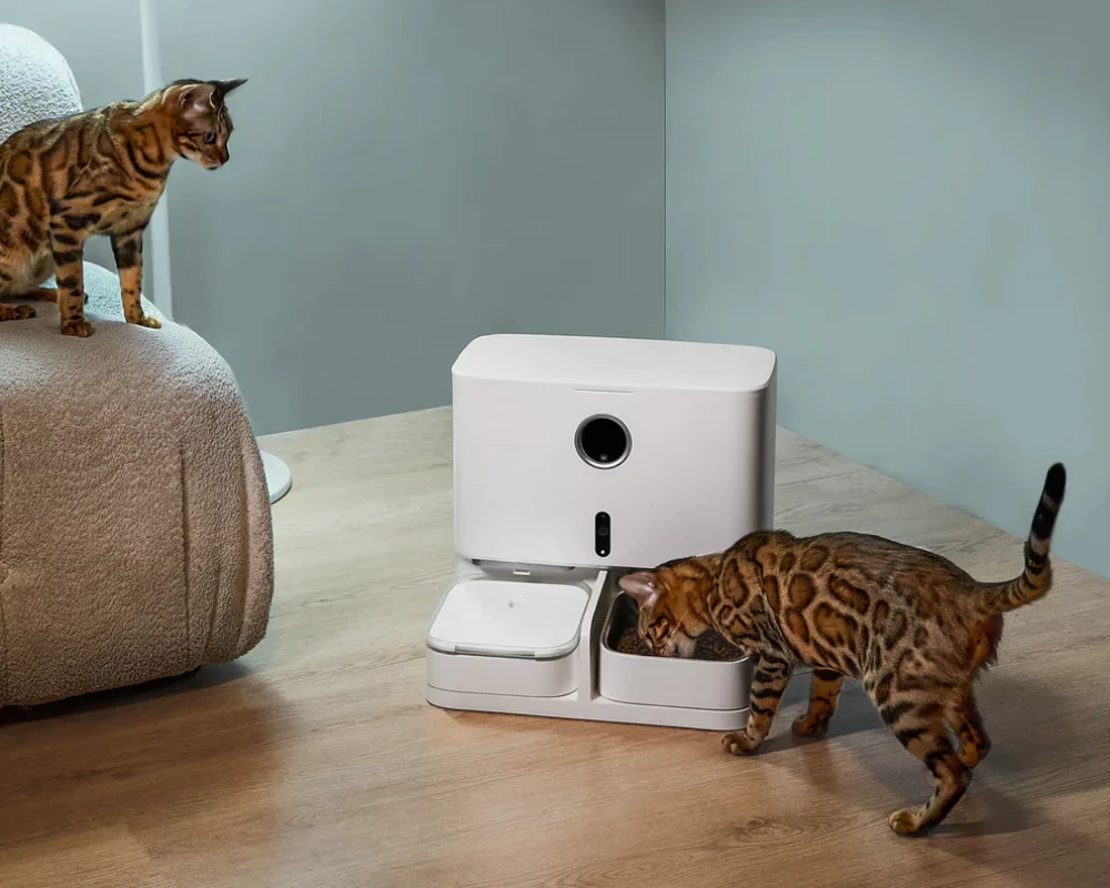 automatic pet bowl feeder