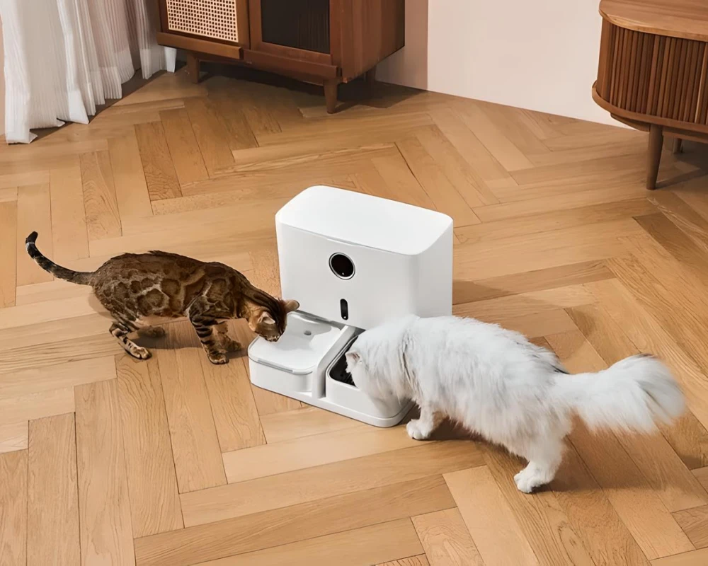 best automatic pet feeder