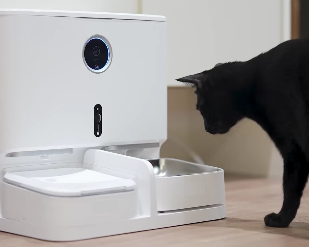 automatic dog feeder with camera